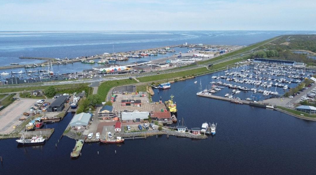 Waterhuisjes Op De Pier Van Lauwersmeerplezier! Лауверсог Екстериор снимка
